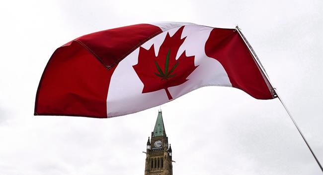 Early cannabis sales 'unbelievably high' after legalization: feds' US consultant | iNFOnews.ca