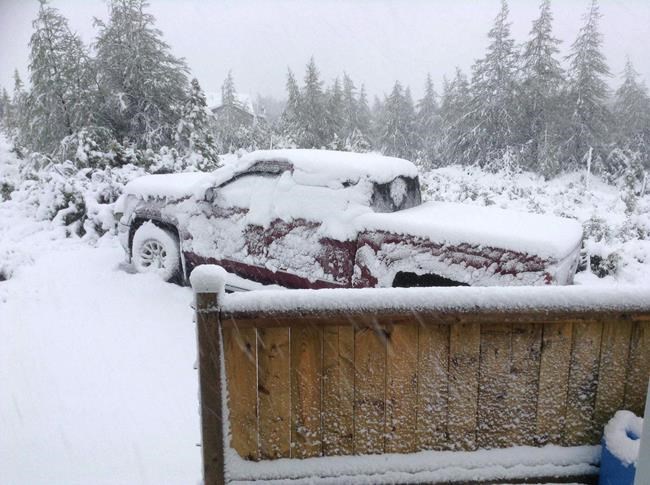 Summer snow falls in parts of Newfoundland: 'Never seen it this late in June' | iNFOnews.ca Summer snow falls in parts of Newfoundland: 'Never seen it this late in June' | iNFOnews.ca