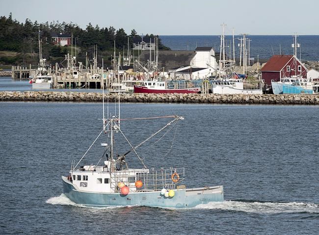 Nova Scotia community looks forward to brighter year after 2018 marred by tragedy | iNFOnews.ca