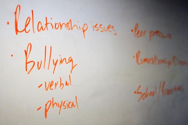 'Time to take action:' Children advocates call for national youth suicide strategy | iNFOnews.ca