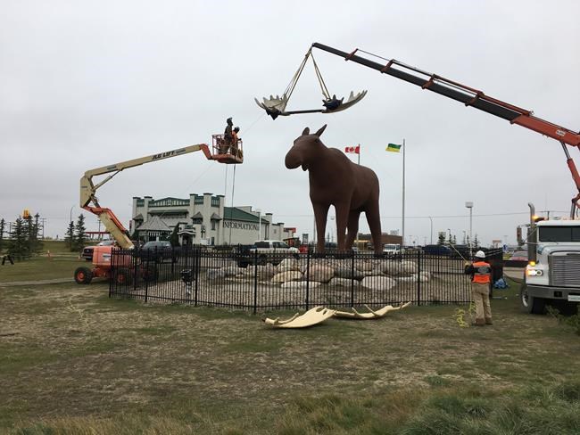 Quebec town's moose statue won't seek to supplant Moose Jaw, Sask.'s famed Mac | iNFOnews.ca Quebec town's moose statue won't seek to supplant Moose Jaw, Sask.'s famed Mac | iNFOnews.ca