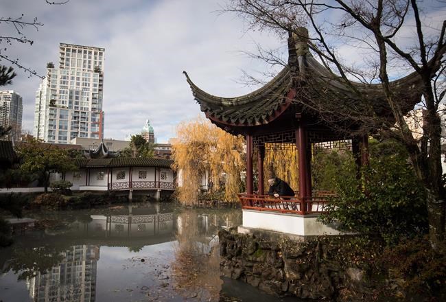 Otter sighting shuts down Vancouver Chinese garden, 6 koi dead | iNFOnews.ca