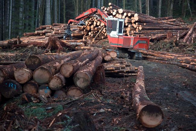 Awaiting the opening shot: Canada-US softwood wars poised to reignite | iNFOnews.ca Awaiting the opening shot: Canada-US softwood wars poised to reignite | iNFOnews.ca