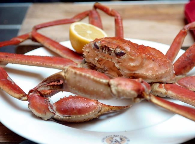 Supreme Court denies P.E.I. crab fishers leave to appeal dispute over catch | iNFOnews.ca