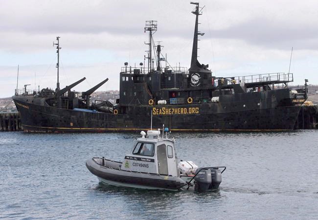 Fearing 'pollution threat,' Ottawa steps in to remove notorious MV Farley Mowat | iNFOnews.ca Fearing 'pollution threat,' Ottawa steps in to remove notorious MV Farley Mowat | iNFOnews.ca