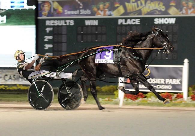Canadian Gingras driving horses in Pacing Derby, Maple Leaf Trot events | iNFOnews.ca