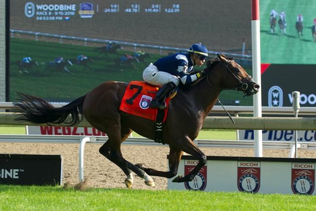 Oscar Performance goes wire-to-wire in winning $800,000 Ricoh Woodbine Mile | iNFOnews.ca