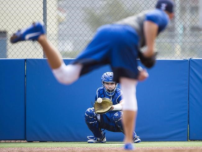 Blue Jays call up Reese McGuire, put Luke Maile on 10-day injured list | iNFOnews.ca Blue Jays call up Reese McGuire, put Luke Maile on 10-day injured list | iNFOnews.ca