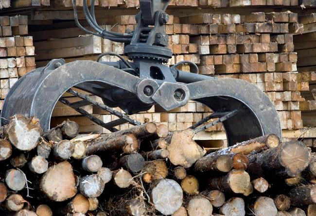 Canadian sawmill jobs at risk as softwood lumber deal appears to fade: analyst | iNFOnews.ca