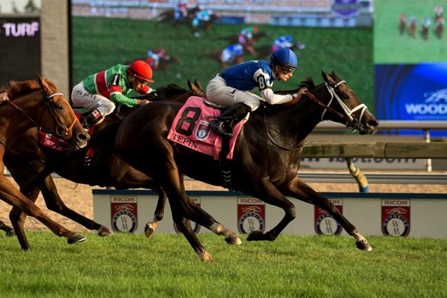 Heralded filly Tepin captures $1-million Ricoh Woodbine Mile horse race | iNFOnews.ca