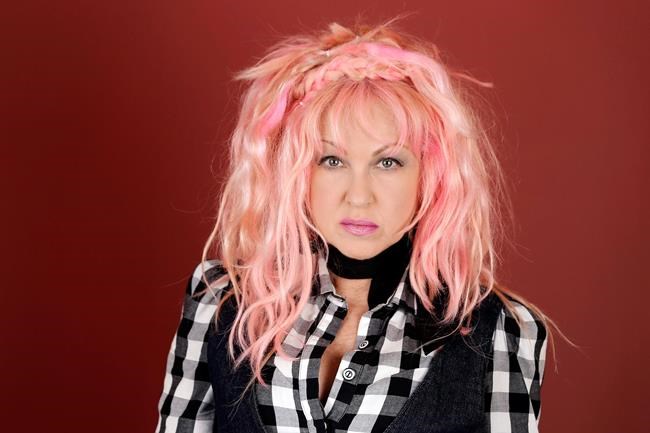 Singer Cyndi Lauper speaks out against Montreal pit bull ban | iNFOnews.ca Singer Cyndi Lauper speaks out against Montreal pit bull ban | iNFOnews.ca