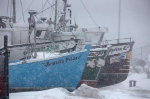 CP1993858977