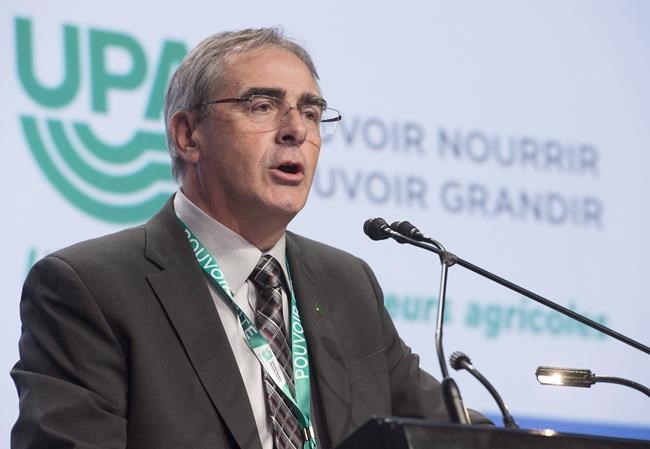 Quebec farmers hoping for rain after drought, heat wave threaten crops | iNFOnews.ca