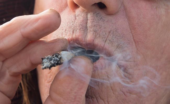 Study of U.S. hospital figures links pot use with increasing risk of stroke | iNFOnews.ca CP168350597