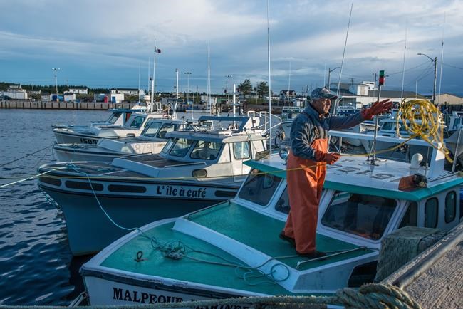 Some New Brunswick lobster fishermen park boats, concerned with low prices | iNFOnews.ca Some New Brunswick lobster fishermen park boats, concerned with low prices | iNFOnews.ca