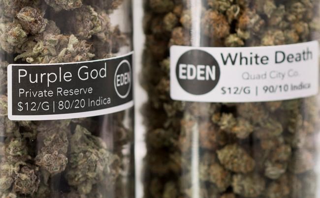 Doctors' group wants Health Canada, not industry, to design marijuana labelling | iNFOnews.ca Doctors' group wants Health Canada, not industry, to design marijuana labelling | iNFOnews.ca