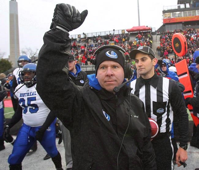 Laval and Montreal renew their football rivalry in Quebec conference final | iNFOnews.ca Laval and Montreal renew their football rivalry in Quebec conference final | iNFOnews.ca