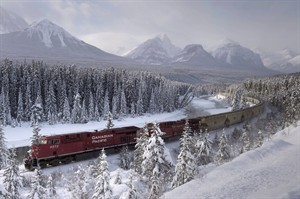 CP31368404