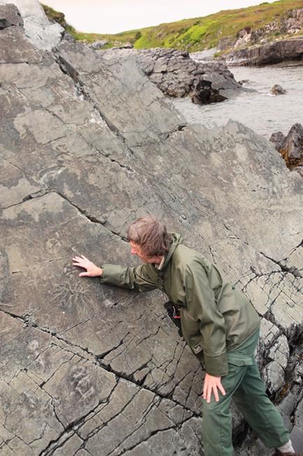 Newfoundland fossil trove wins bid to become UNESCO World Heritage Site | iNFOnews.ca