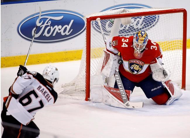 James Reimer rare among NHL's quality backup goaltenders this season | iNFOnews.ca
