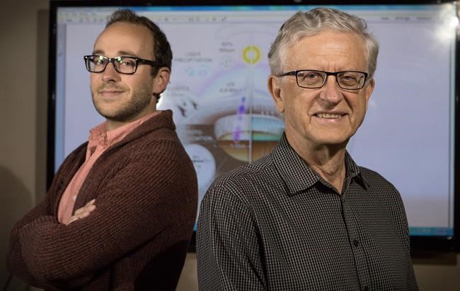 Life on earth began in small ponds, McMaster University research suggests | iNFOnews.ca