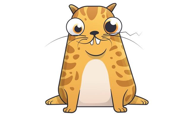 CryptoKitties: Are blockchain Beanie Babies the future of e-commerce or a fad? | iNFOnews.ca