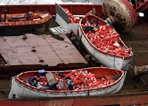 CP21542906