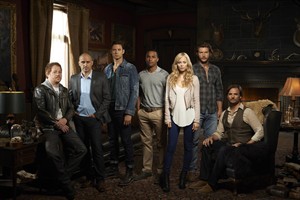 'Bitten' star Laura Vandervoort says werewolf figure well suited to women | iNFOnews.ca CP26744137