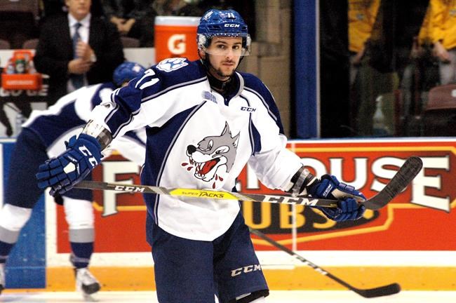 From Israel to Canada: Wolves forward Levin chasing dream of playing in NHL | iNFOnews.ca CP90842896