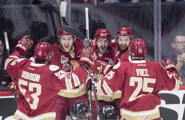 Titan thriving at Memorial Cup after overcoming low attendance in small market | iNFOnews.ca Titan thriving at Memorial Cup after overcoming low attendance in small market | iNFOnews.ca