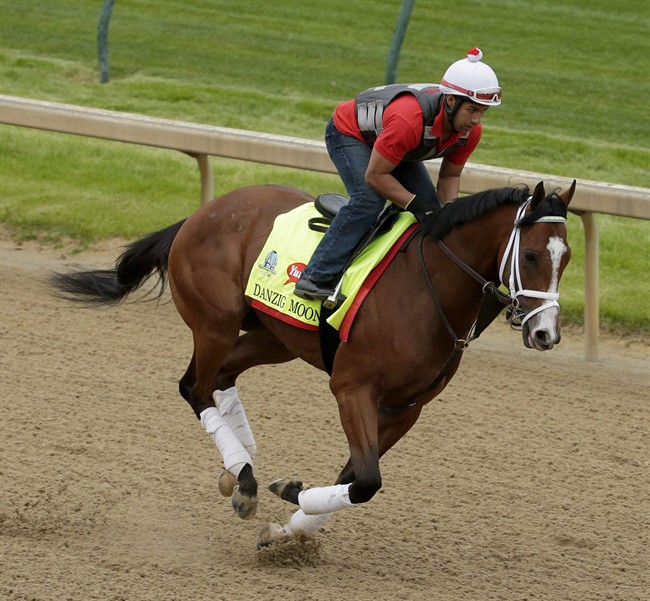 Danzig Moon suffers fatal injury at Woodbine, has to be euthanized | iNFOnews.ca CP33480855