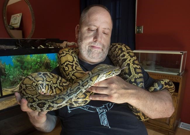 Exotic animal owners share deep bond with pets, despite critics' concerns | iNFOnews.ca