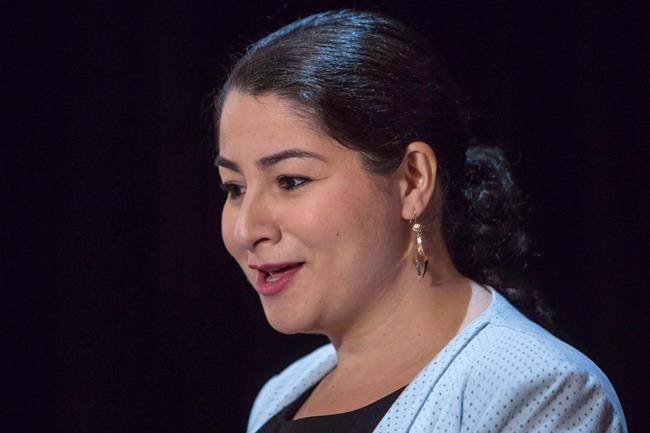 Liberals devote $20M to gender-based violence services in vulnerable communities | iNFOnews.ca