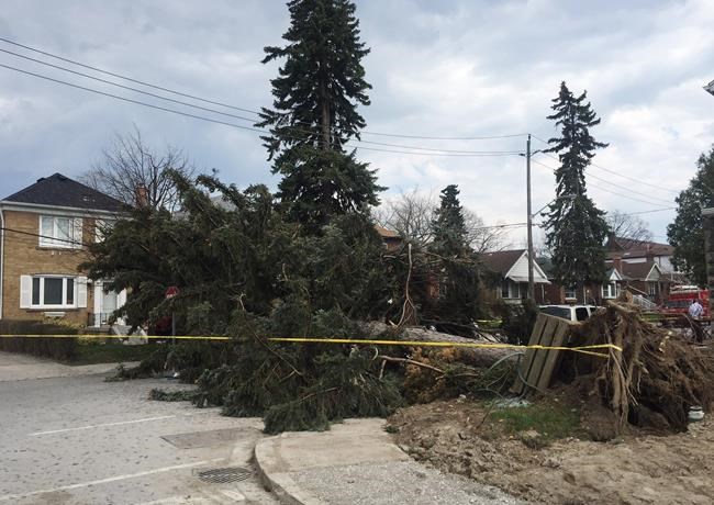 Hundreds of thousands without power following disastrous wind storm | iNFOnews.ca