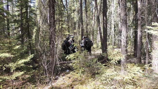 New oilsands exploration tech leaves forest intact, to the relief of the caribou | iNFOnews.ca CP1587948958