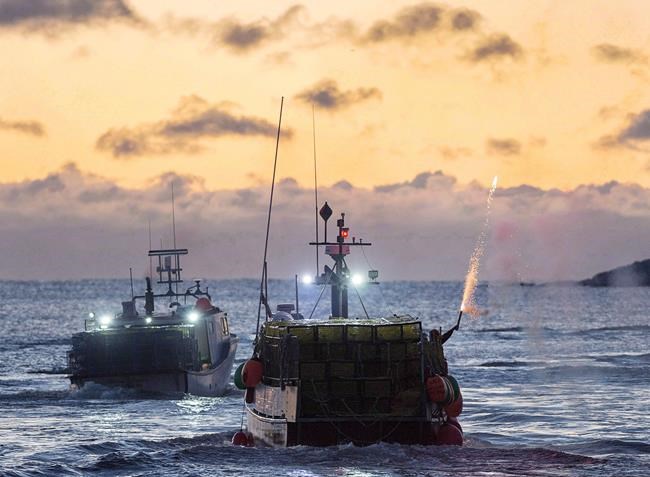 Canada joins global pact to stop illegal fishing trade, plans more inspections | iNFOnews.ca