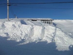 CP27646677
