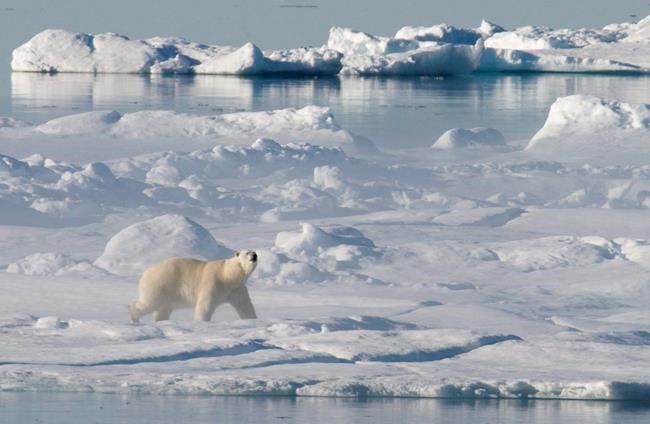 New federal Arctic policy focuses on human health, environment, infrastructure | iNFOnews.ca