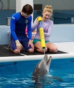 Cozi Zuehlsdorff, Nathan Gamble on their cetacean co-stars in 'Dolphin Tale 2' | iNFOnews.ca
