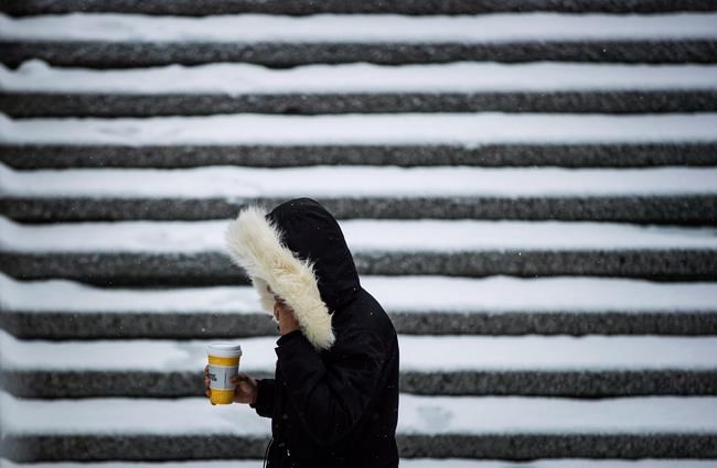 Arctic chill grips much of B.C.; strong winds cause outages on south coast | iNFOnews.ca Arctic chill grips much of B.C.; strong winds cause outages on south coast | iNFOnews.ca