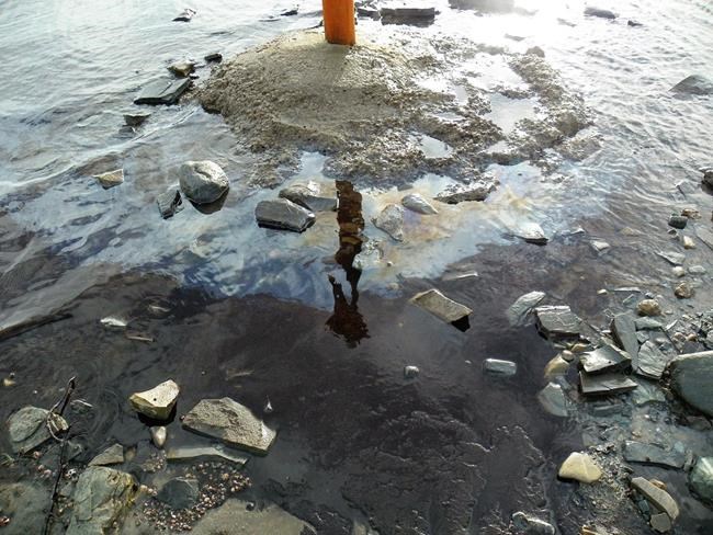 Once-bountiful fishery collapses as oil leak persists in Newfoundland bay | iNFOnews.ca