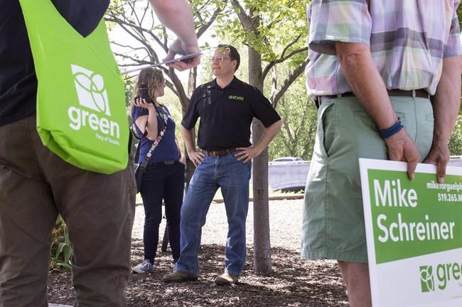 Historic win within reach for Ontario's Green party Leader Mike Schreiner | iNFOnews.ca