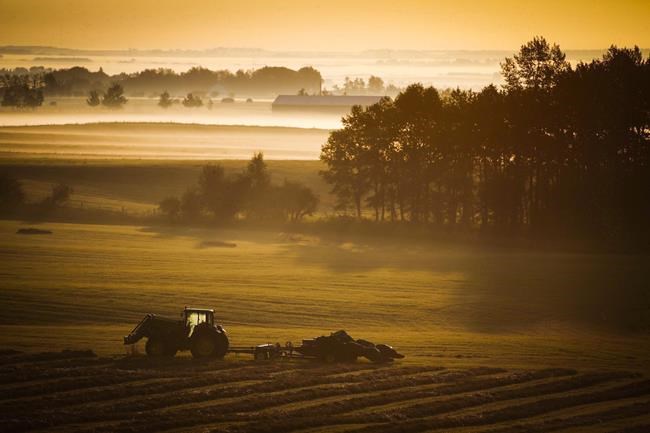 MPs demand more help as mental-health issues approach 'crisis' on Canada's farms | iNFOnews.ca