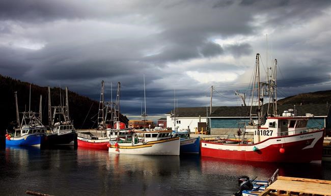 A family affair: 10 council candidates in Newfoundland town have same last name | iNFOnews.ca