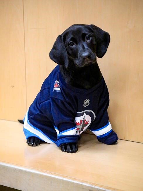 Winnipeg Jets security dog Lenny named after superfan Len Kropioski | iNFOnews.ca