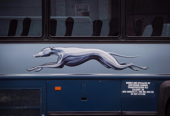 'A blooming shame:' Greyhound winds down in Western Canada, northern Ontario | iNFOnews.ca