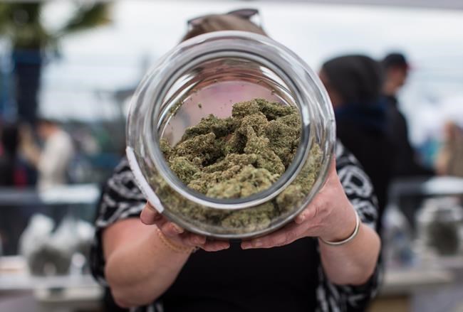 Saskatchewan to meet with First Nation operating unlicensed cannabis store | iNFOnews.ca