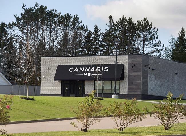 New Brunswick's cannabis retailer reports $11.7 million loss in first year | iNFOnews.ca