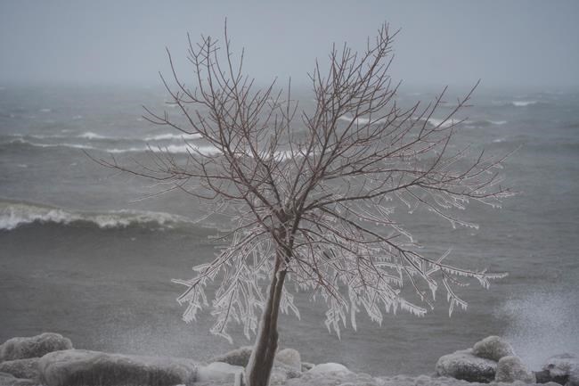 Average fall, cold winter ahead, The Weather Network predicts | iNFOnews.ca CP581281939