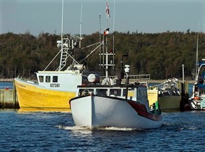 CP29426730